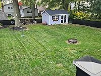 Review Image by Ladd Scavnicky Ladd Scavnicky