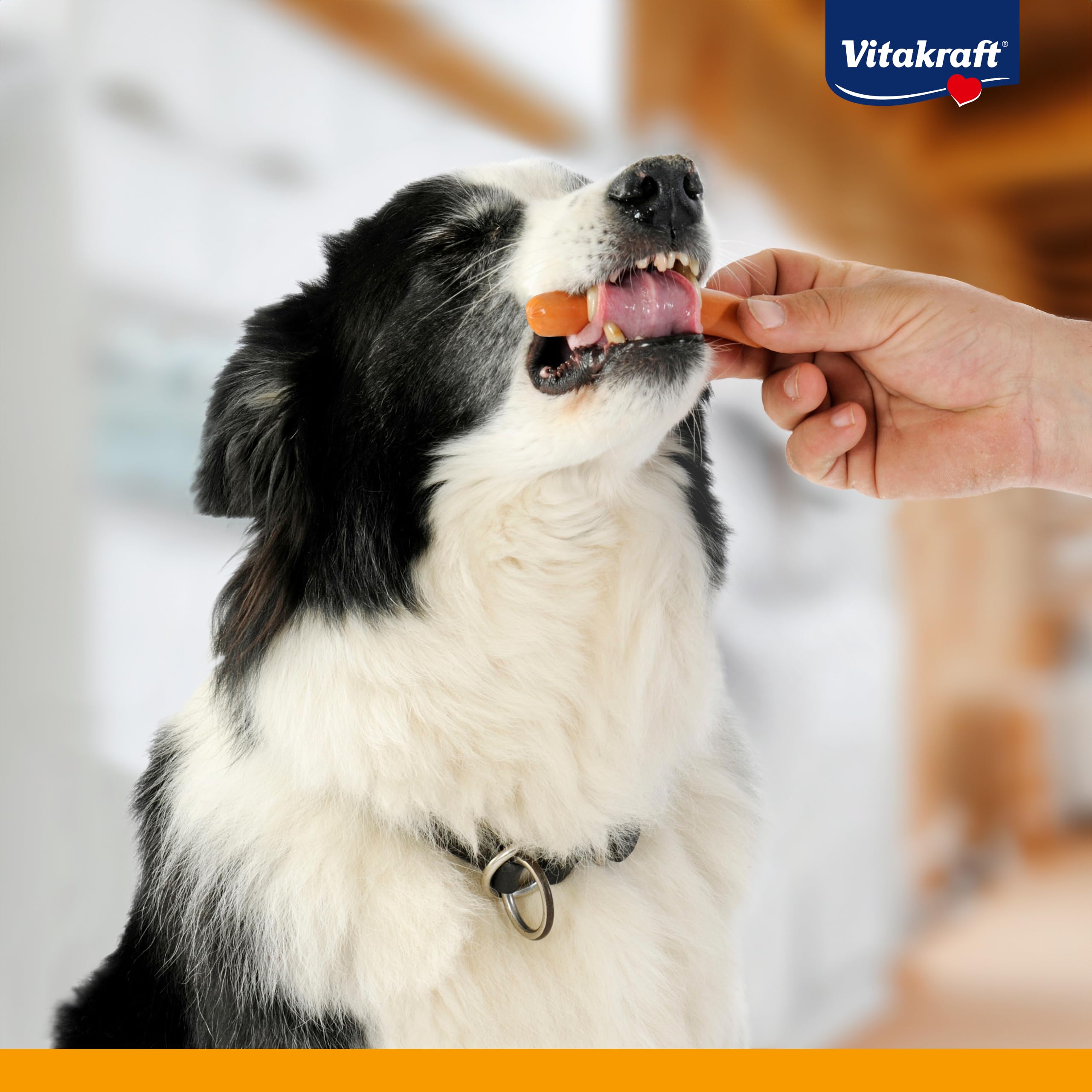 Vitakraft Dog Minis, snack cane, piccoli wurstel con pollame, in barattolo con coperchio, snack per l’addestramento del cane, a ridotto contenuto di spezie, senza zuccheri aggiunti (1x 120g)