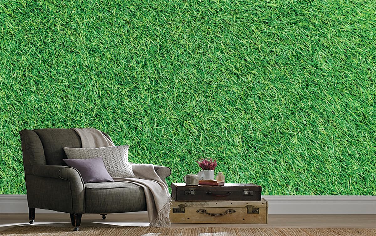 See full amazon price history chart for ADV Wall India Green Grass Wallpaper, Self-Adhesive Wallpaper for Living Room, Bedroom, Kitchen, Wall Sticker, Peel and Stick, Vinyl Wallpaper (Size: 180 * 40cm) ADV Wall India Green Grass Wallpaper, Self-Adhesive Wallpaper for Living Room, Bedroom, Kitchen, Wall Sticker, Peel and Stick, Vinyl Wallpaper (Size: 180 * 40cm) (B0D5YTPRZJ) Amazon Price History, Amazon Price Tracker