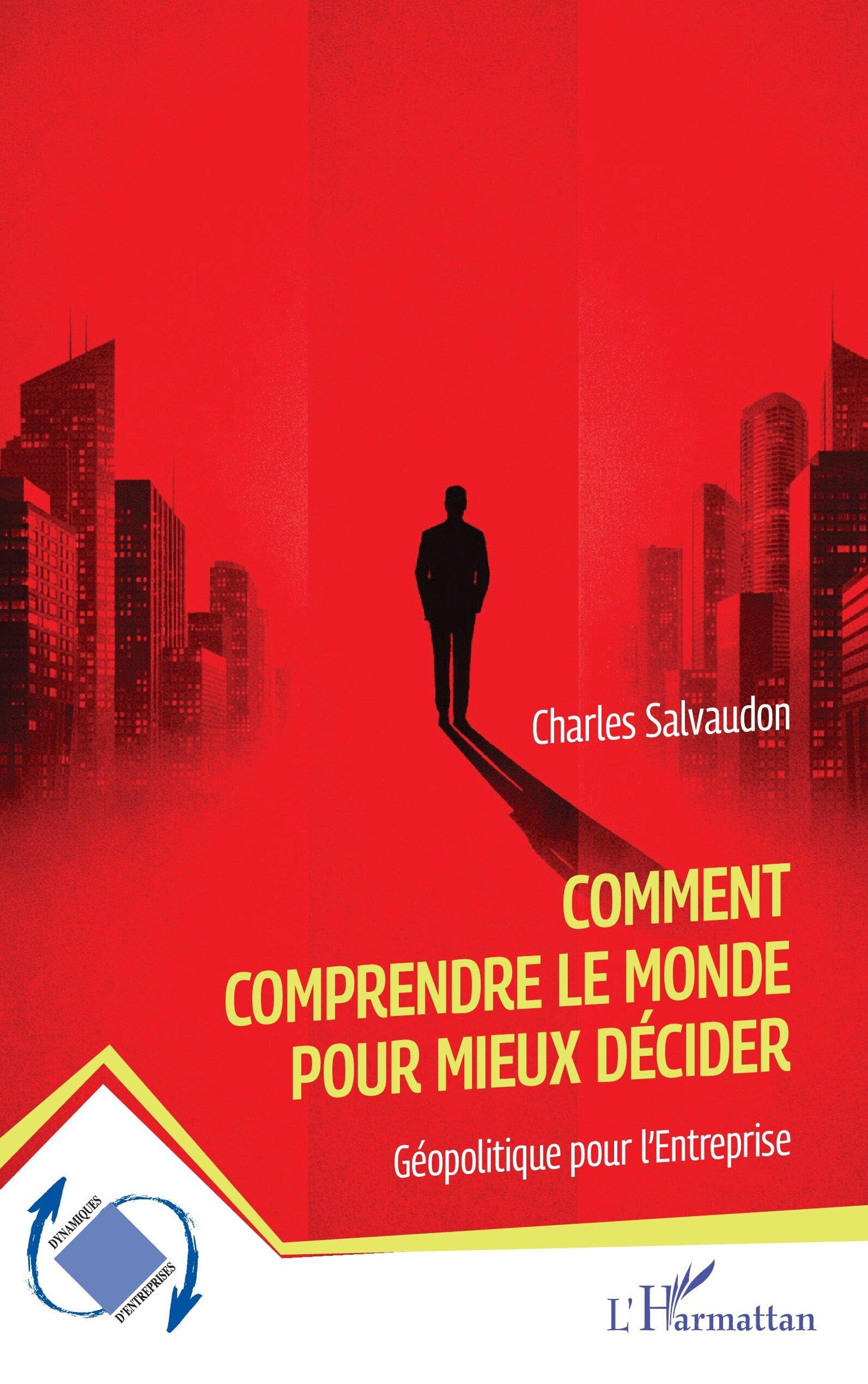 Comment comprendre le monde pour mieux décider: Géopolitique pour l’Entreprise (Dynamiques D'Entreprises)