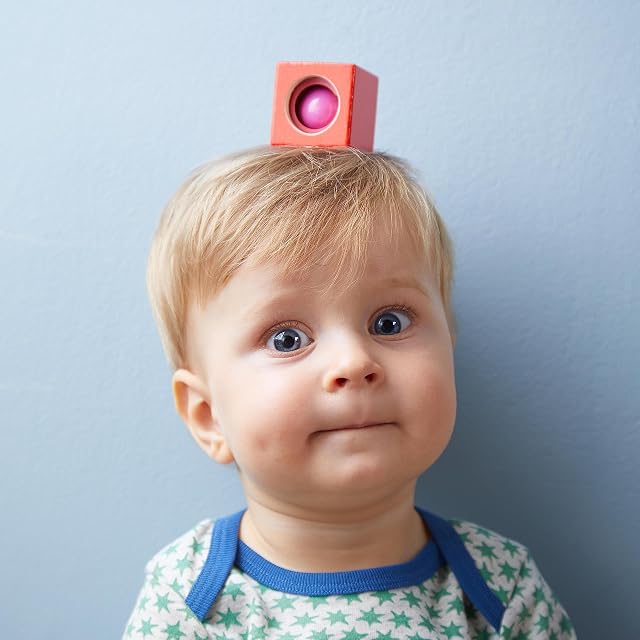 Foto 4 de 7 de HABA 7628 - discoverer stones sound fun, robust wooden toy and educational game from 1 year, 6 colourful…