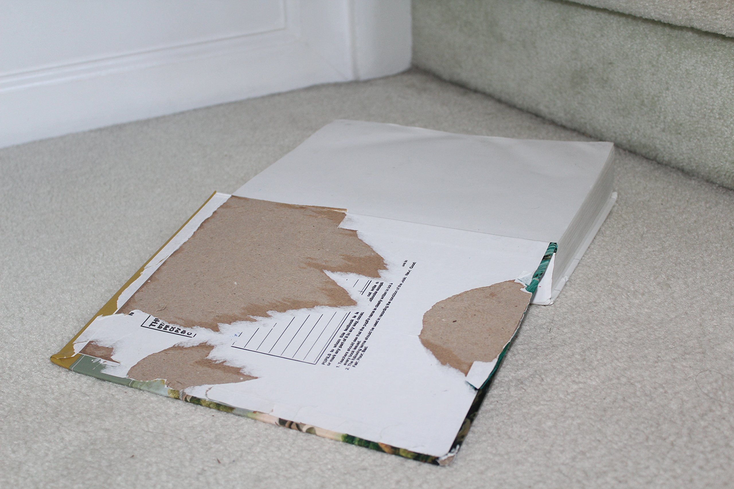 Earth & Its Peoples, AP Edition - Image 5