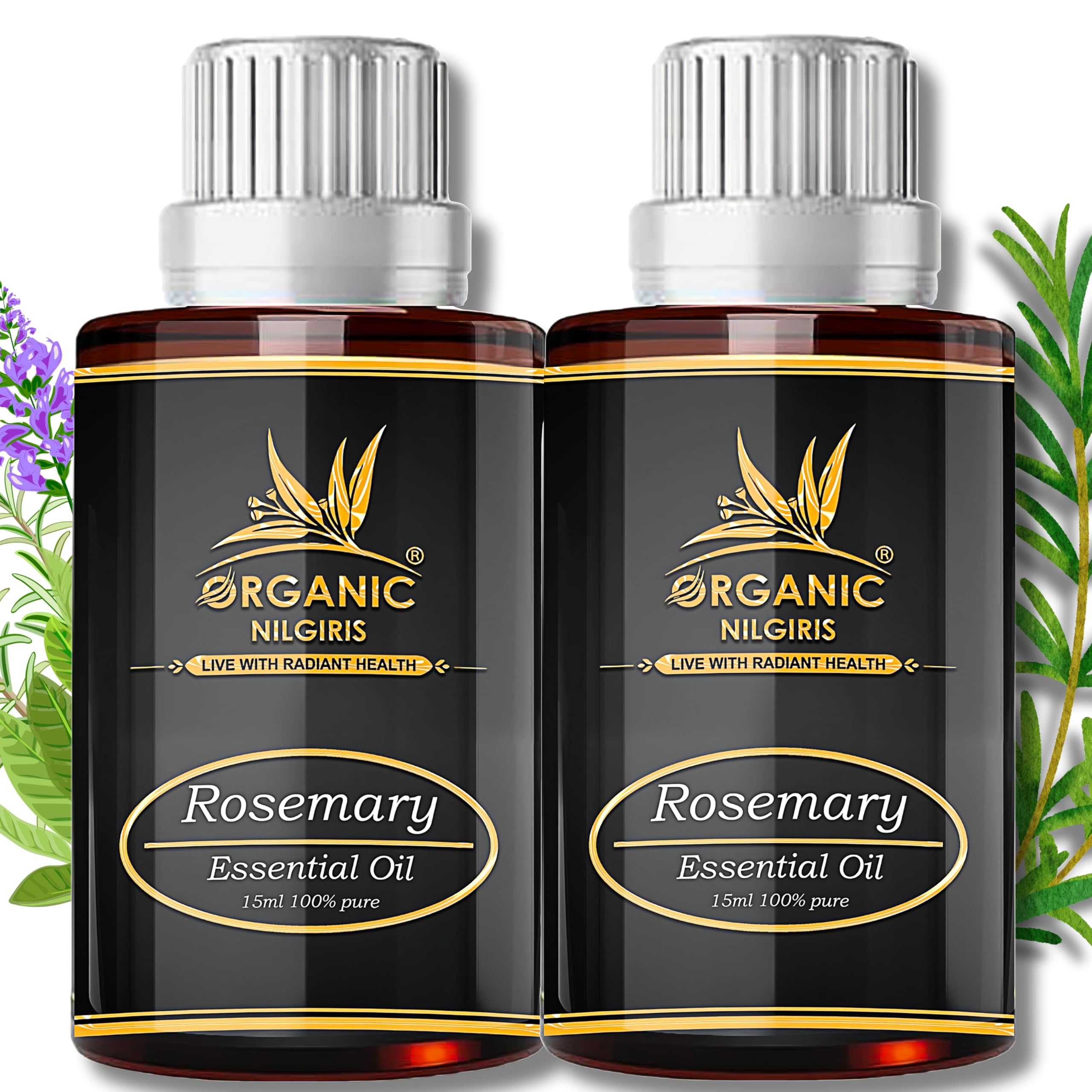 Organic Nilgiris 100% Natural Rosemary Essential Oil for Hair Growth Hair Fall Control & Strengthens Hair scalp nourishment. Ideal for pure hair care. Steam-distilled from premium rosemary leaves-30ml