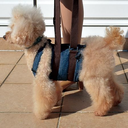 Amazon Ruru Pet 国内正規品 犬用介護ハーネス ウオークわんデニム 足腰が弱くなってきたワンちゃの歩行補助 トイレの補助に L ショート ルルペット ハーネス 通販