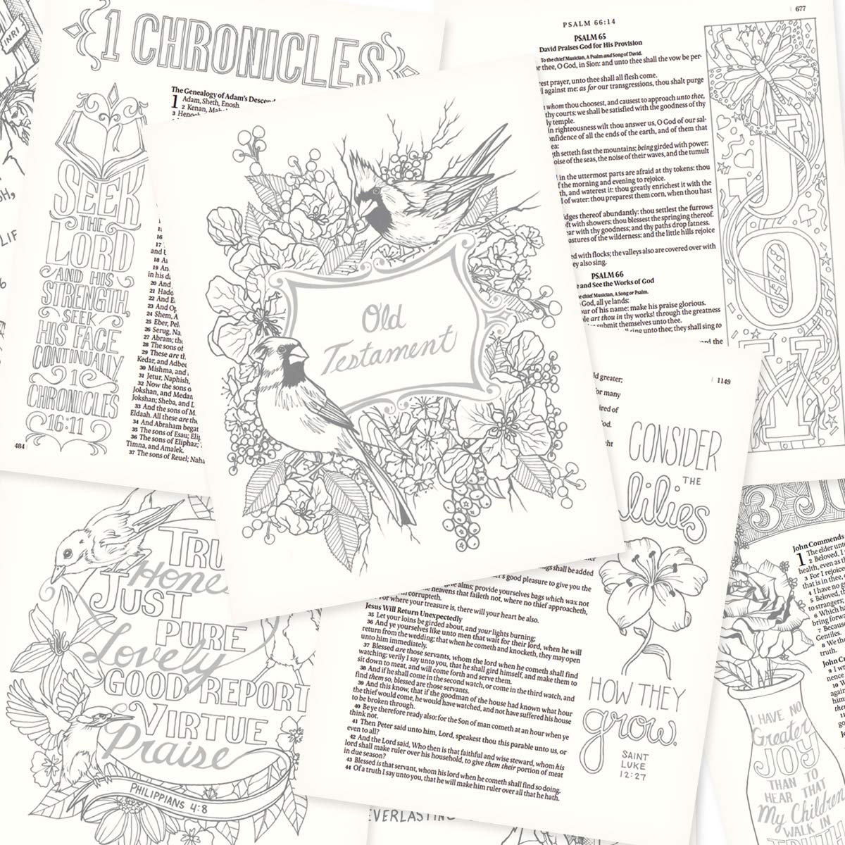 KJV Holy Bible, My Creative Bible, Faux Leather Hardcover - Ribbon Marker, King James Version, Bright Pink w/Elastic Closure (KJV Creative Editions)      Hardcover – Notebook, March 5, 2016