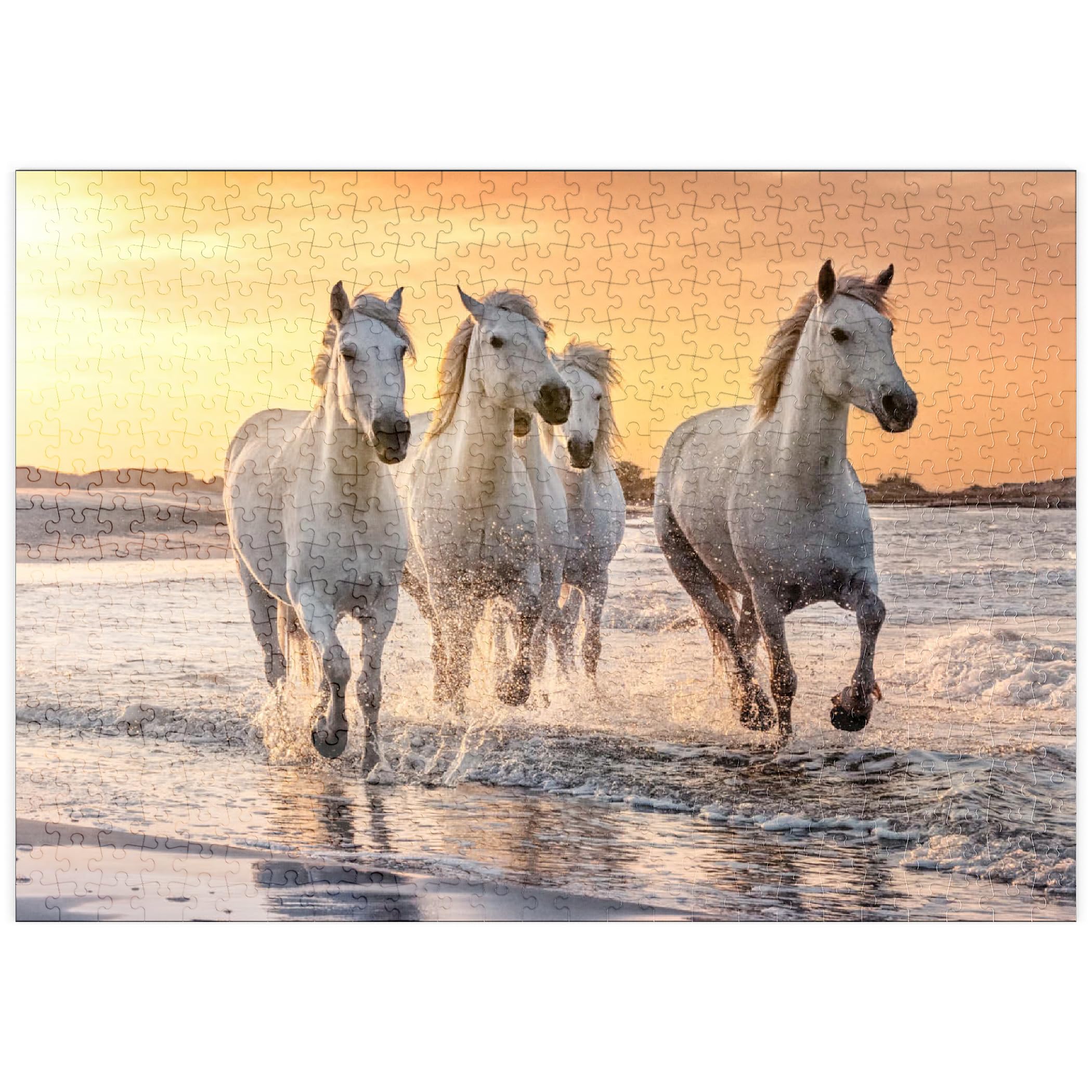 White Camargue Horses Galloping On Beach, France - Premium 500 pieces Puzzle - MyPuzzle special collection from Puzzle Galaxy
