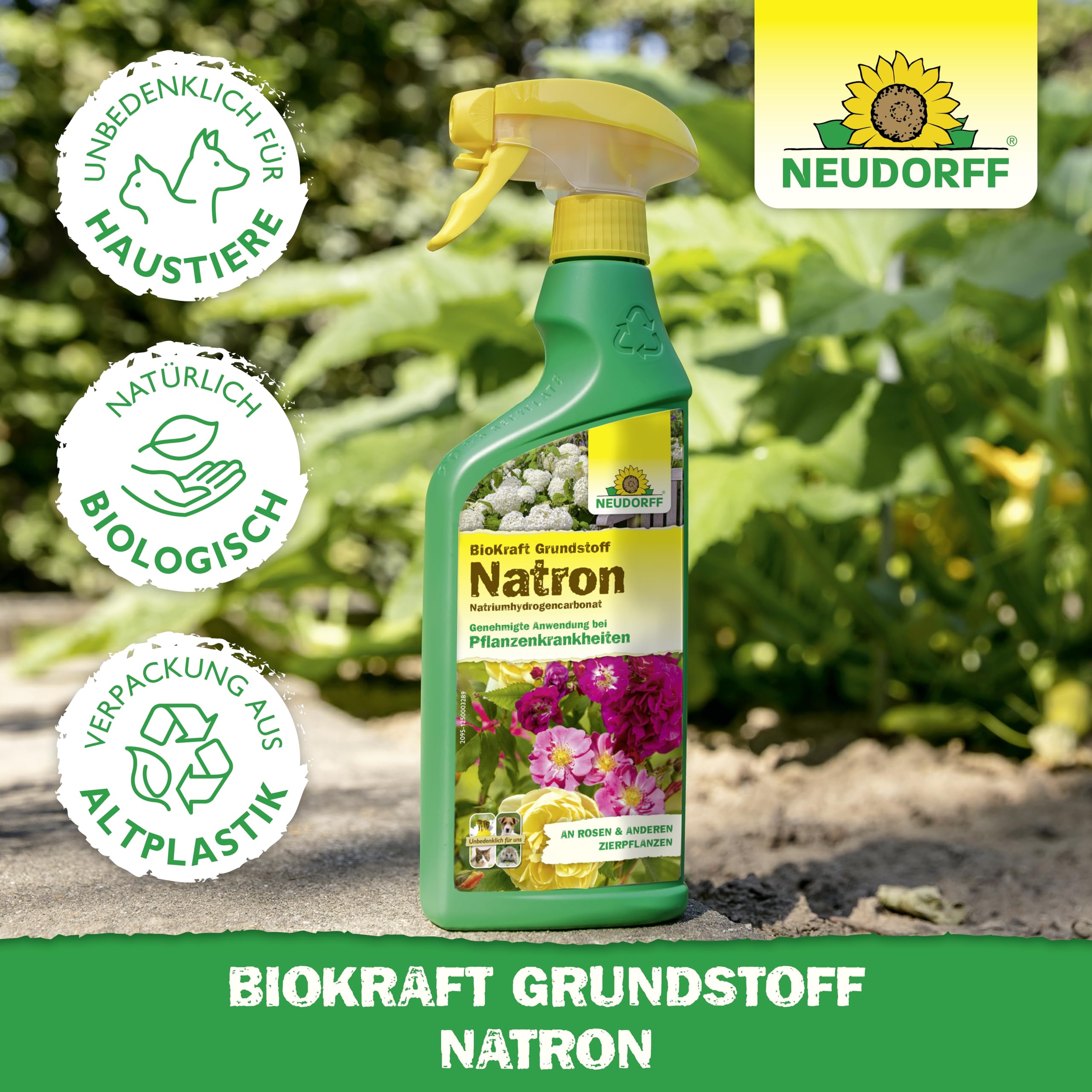Neudorff BioKraft Grundstoff Natron – Anwendungsfertiges Spray gegen Pilzkrankheiten an Rosen und anderen Zierpflanzen, mit pflanzlichen Inhaltsstoffen, 500 ml