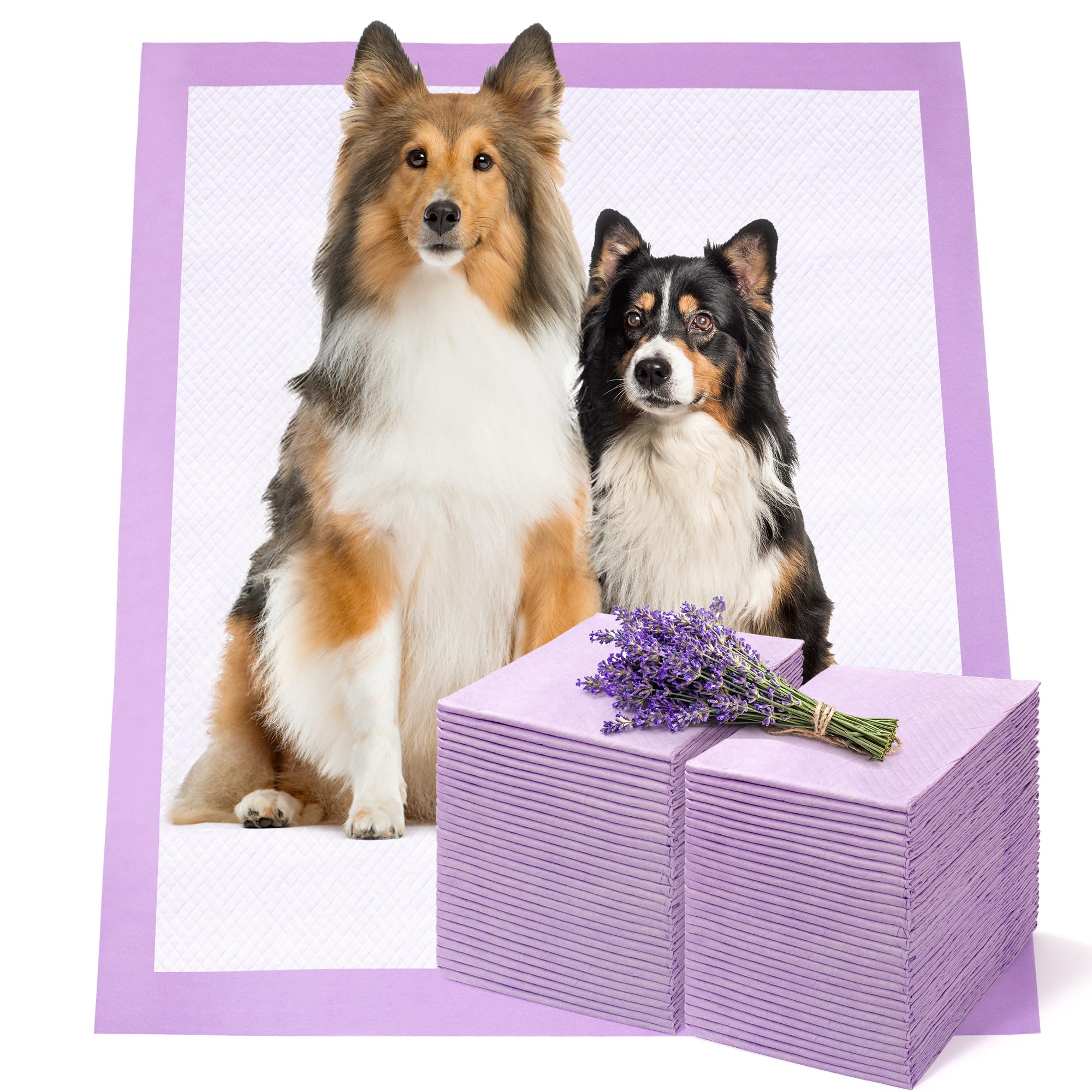 Pet Toilet Training Pads 50Count Disposable Puppy Pee Pads 34" x 28" for Dogs, Ultra Absorbent|Quick Dry|Leak-Proof Pet Potty Pads (B0CXM3GZ6Z) Amazon Price History, Amazon Price Tracker