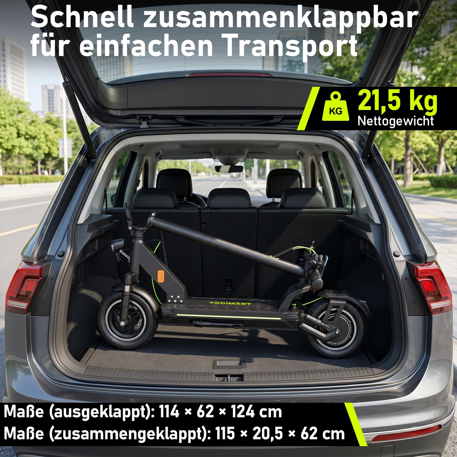 E Scooter mit Straßenzulassung D-Serie, 55-100 km Reichweite, 500W Motor