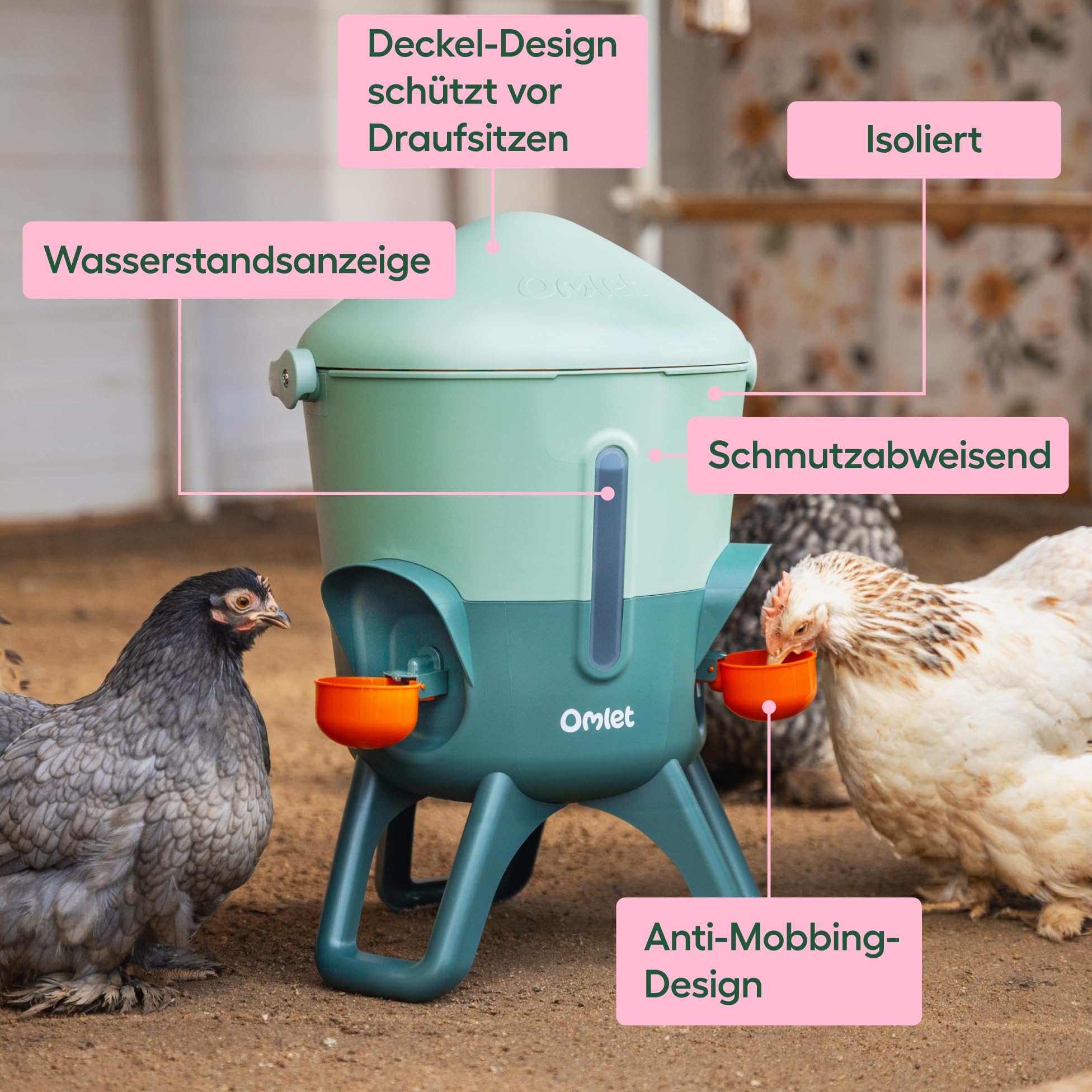 Omlet Isolierter Wasserspender für Hühner 5,5 Liter | Automatische Geflügeltränke für Hühner | Sauberes Trinkwasser | BPA-frei | Anti-Sitzkuppel | Schalen und Trinknippel inbegriffen | Salbeigrün