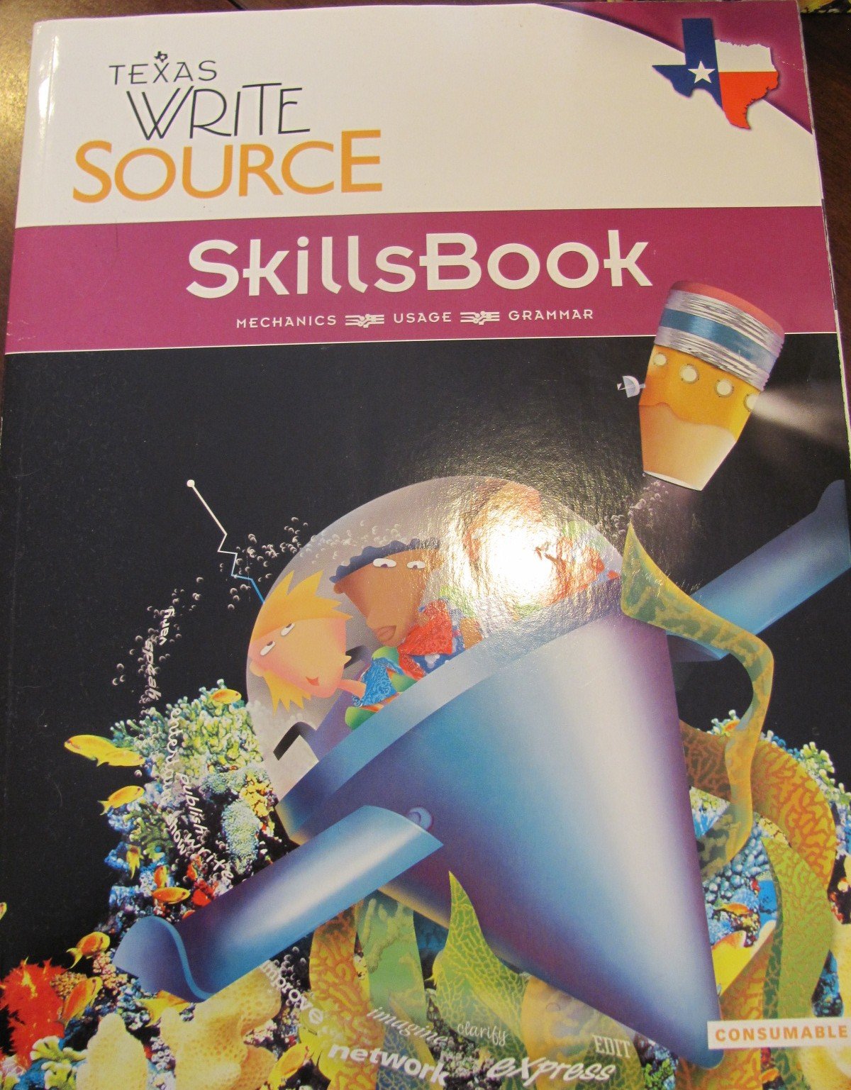 Texas Write Source Skills Book Grade 7 (Great Source Write Source)