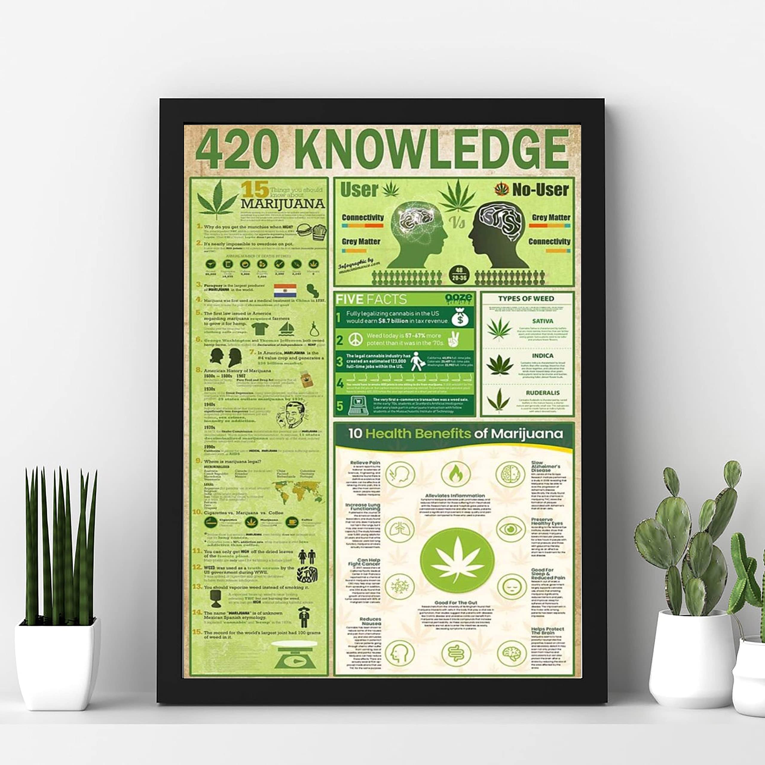Retro Metal Tin Sign 5.5 X 8 Inches 420 Knowledge Poster Cannabis Knowledge Cannabis Poster Weed Poster Vintage Cannabis Marijuana Poster Weed Vertical Poster Funny Wall Decor Nostalgic Arts Decor