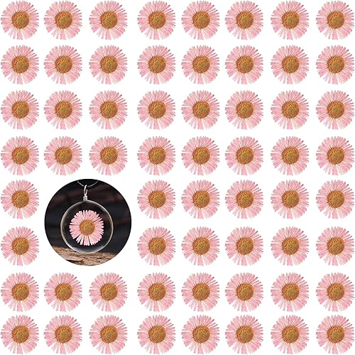 60 flores rosadas secadas vestidas para decoración de resina, flores secas naturales, aguja crisantemo para lámpara de escritorio, manualidades,