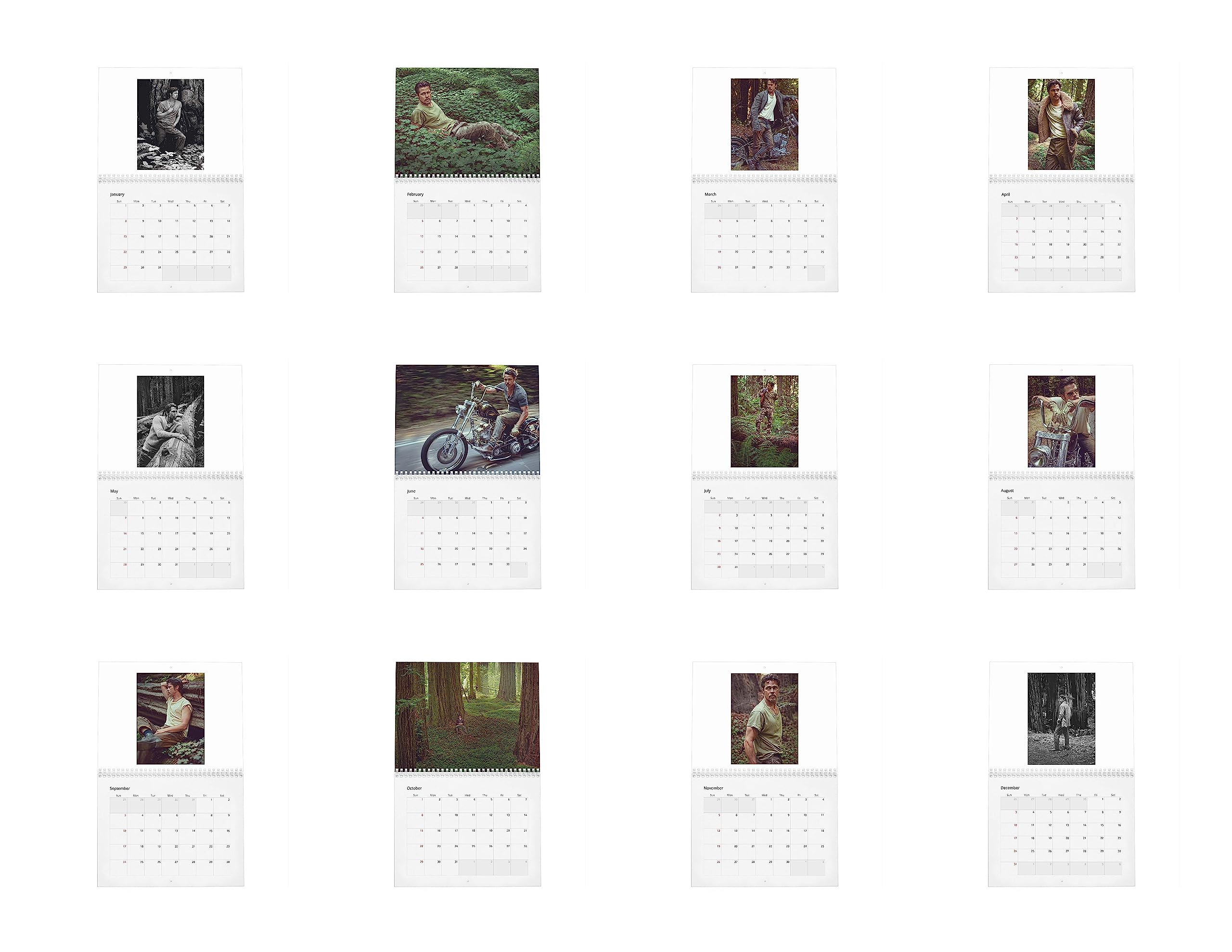 Brad Pitt Vol.1-2027 - Calendario da parete