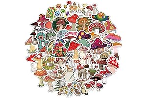 50Pcs Colorful Waterproof Stickers Under $1