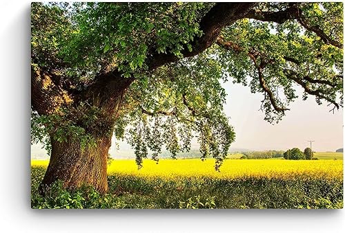 Miniatura 3 de Startonight Lienzo decorativo con motivo de árbol, paisaje abstracto, lago, naturaleza, bosque, negro y blanco, Lona, Amarillo Verde, L