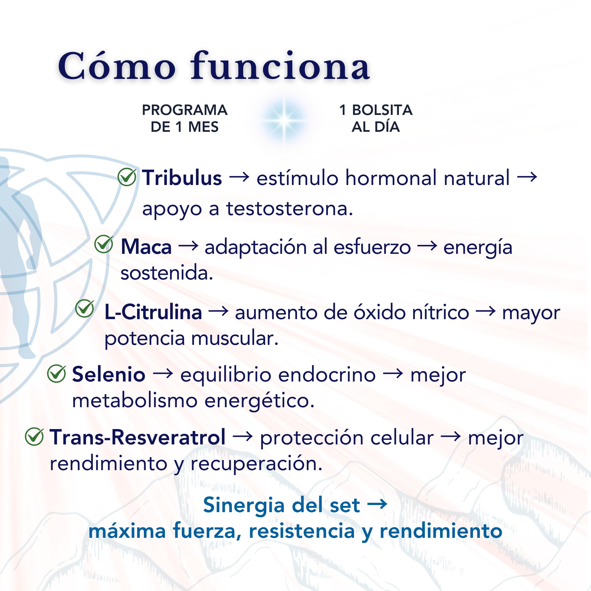 Gestión de la Vitalidad Masculina – Tribulus, L‑Citrulina - L-Arginina, Maca, Trans-Resveratrol y Selenio – sin OGM | Sinergia avanzada para energía y bienestar masculino I 28 Dosis Diarias