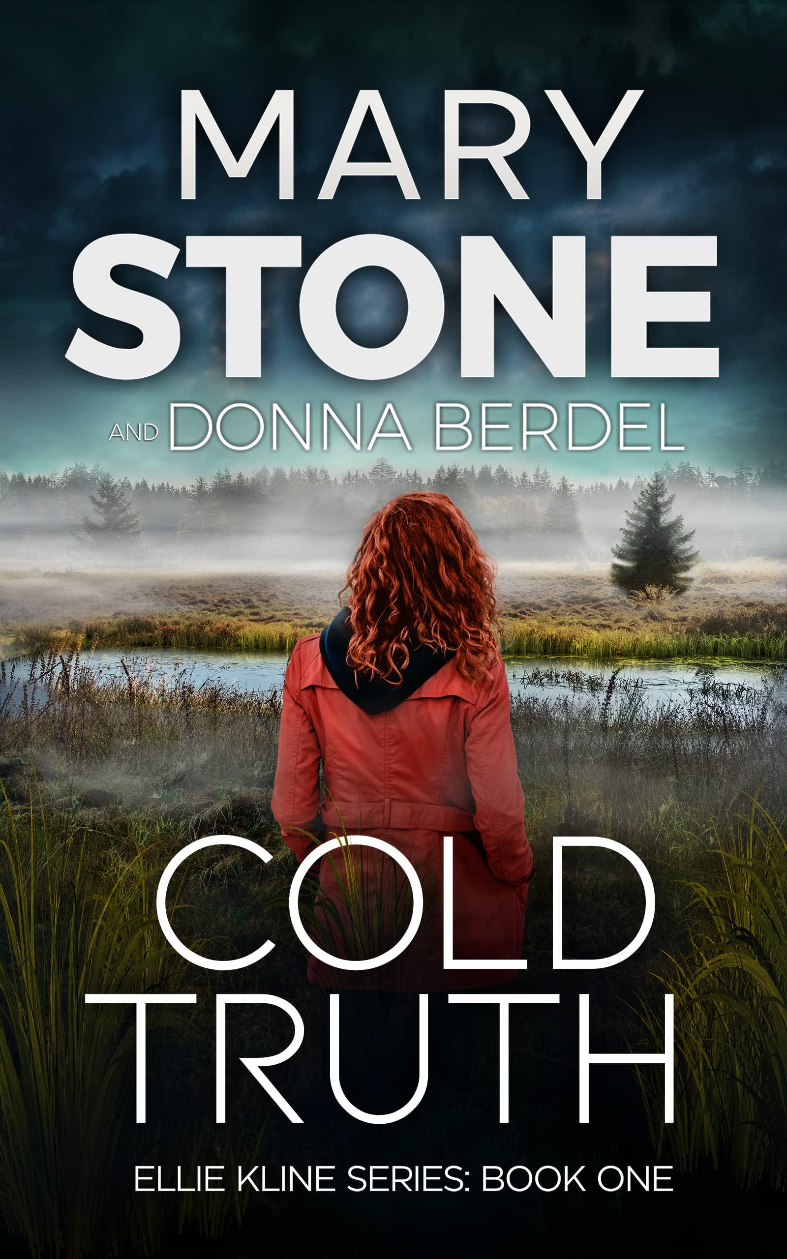 Cold Truth (Ellie Kline Mystery Series Book 1)