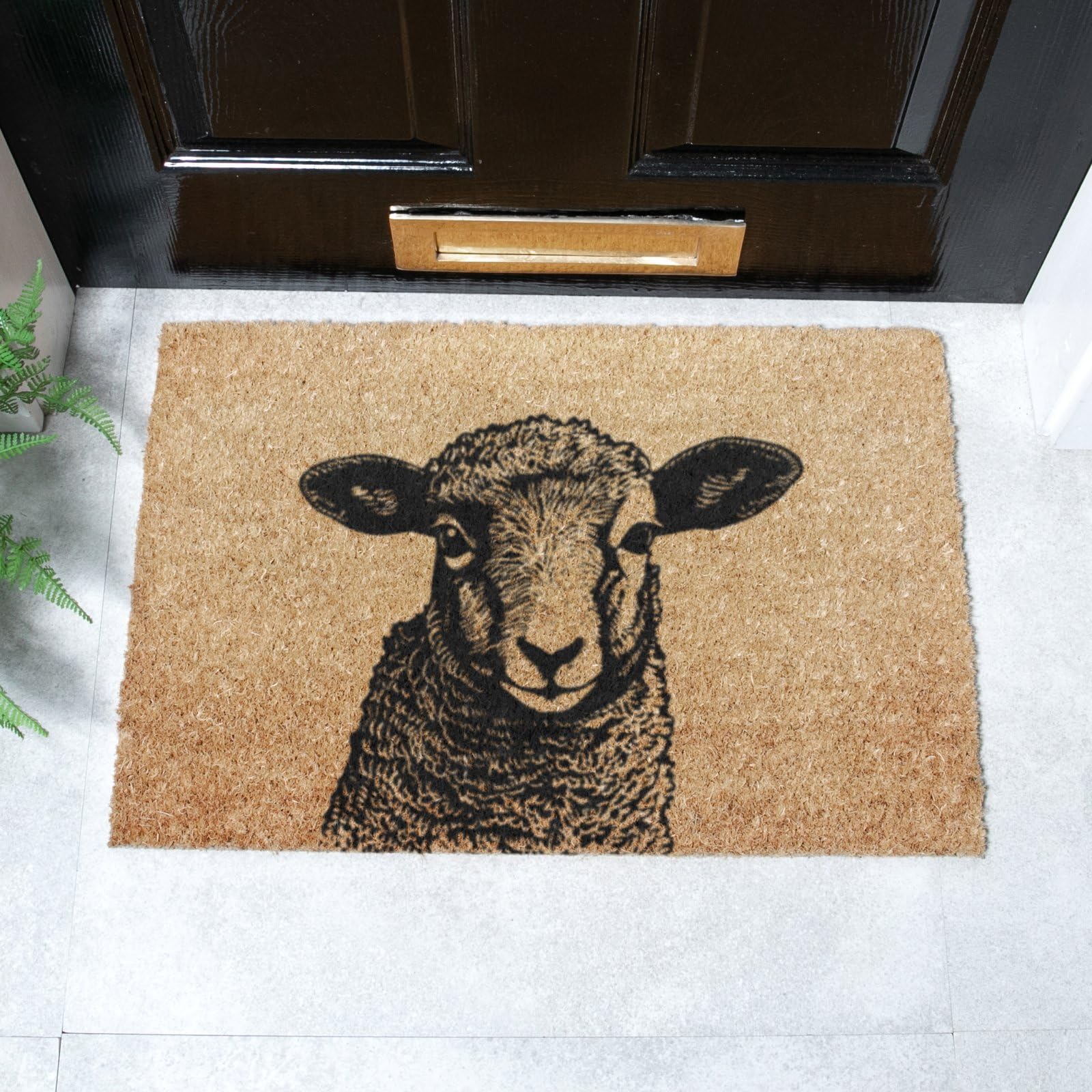 Artsy Mats Lamb Coir Doormat Indoor & Outdoor Door Mat - Easy To Clean, Durable Indoor Door Mat For Entryway & Outdoor Mat - Anti-Slip, Dirt-Trapping Floor Mat (60 x 40cm)