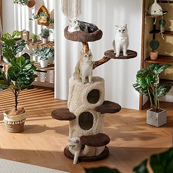 family cats　0728 Amazon.com : KZLAA 54.7'' Tall Modern Wood Cat Tree with 3