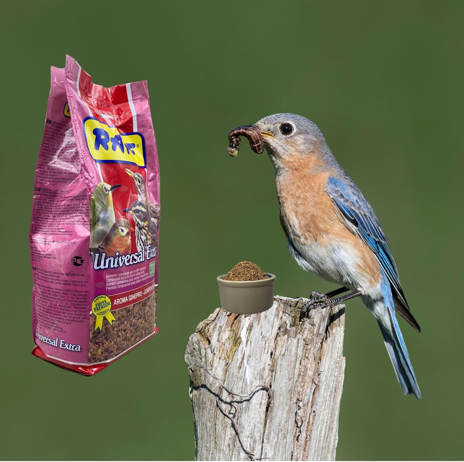RAFF Universal Extra Premium Bird Food Insectivorous Bird Diet 1Kg – Protein Blend Food for Breeding, Growth, Energy, Immune Support and Healthy Plumage of Insect-Eating Birds