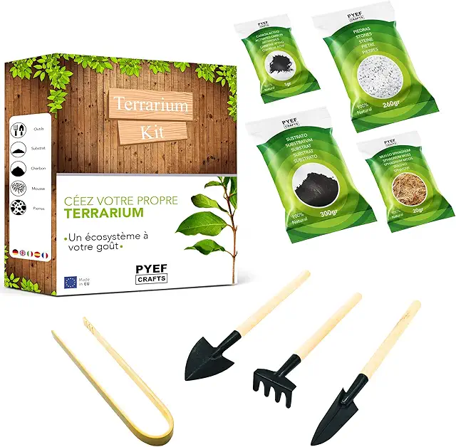 DIY Terrarium Kit for Plants - Closed Ecosystem Garden in Bottle (XL Set Without Bottle)