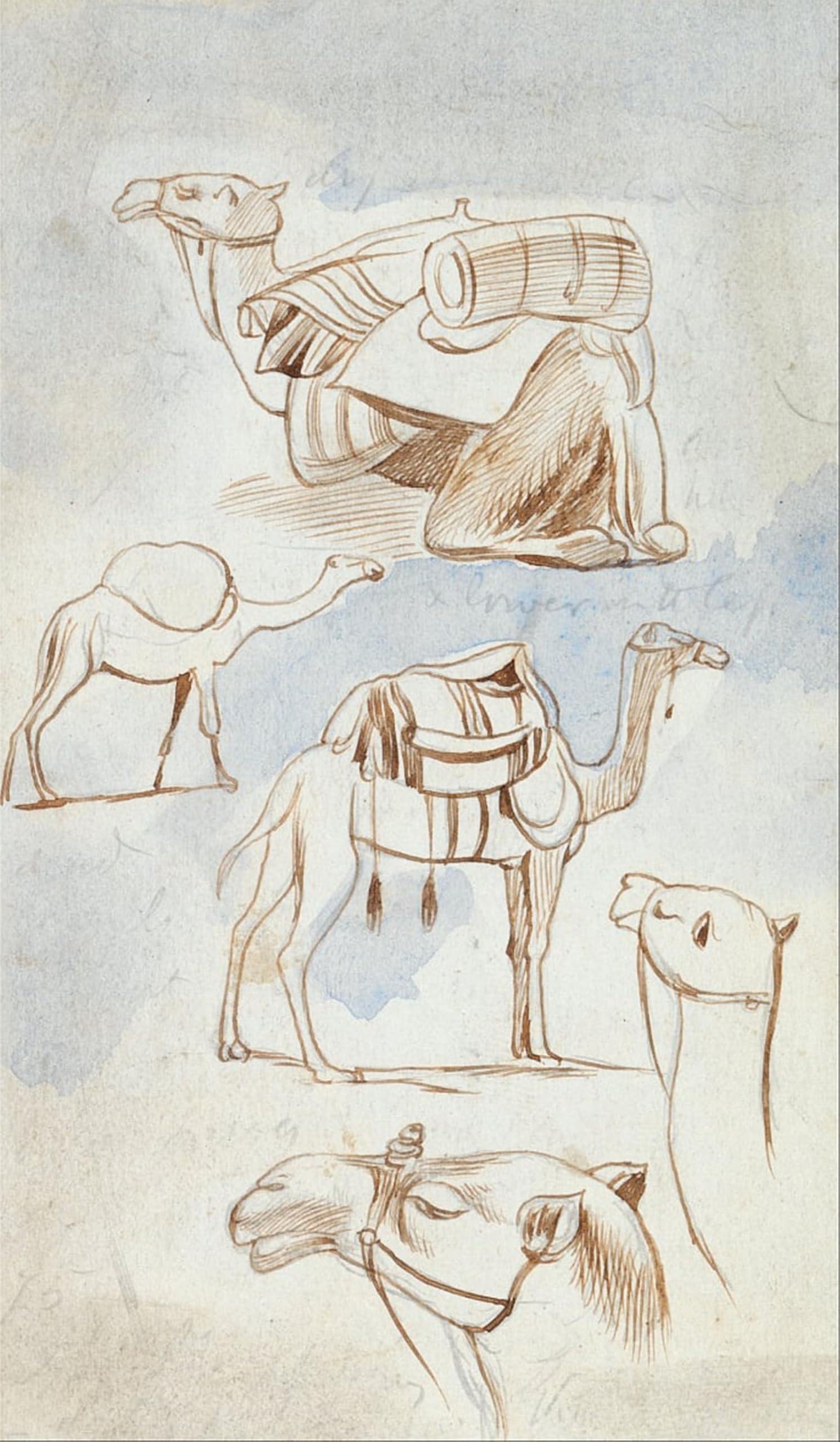 Tableau Chameaux Edward Lear pour grand mur de salon moderne