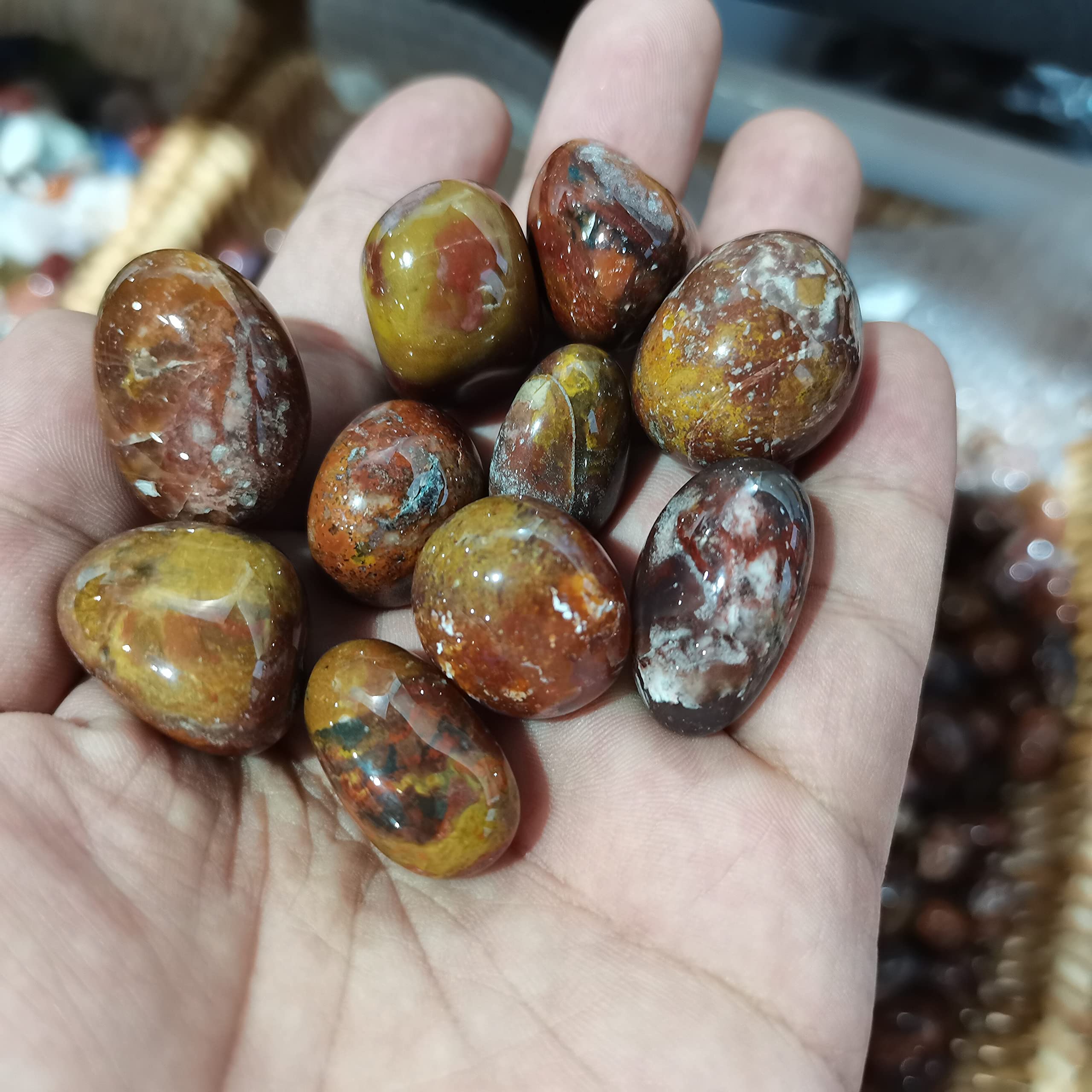 宝石 天然サンゴ 52 天然化石 【公式通販】