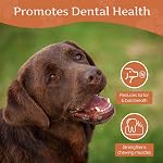 Wildfang® Tree Heather Root for Dogs, L – Splinter-Free Chewing Root, Natural Wood Chew Toy for Aggressive Chewers, Odourless Dog Chew Toy for Healthy Teeth & Gums (for Dogs 25–45 kg), Pack of 1