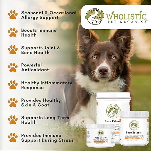 Miniatura 4 de Wholistic Pet Organics Impulso inmunológico vitamina C orgánica en polvo para perros, medicamentos para la alergia para perros, alivio de la