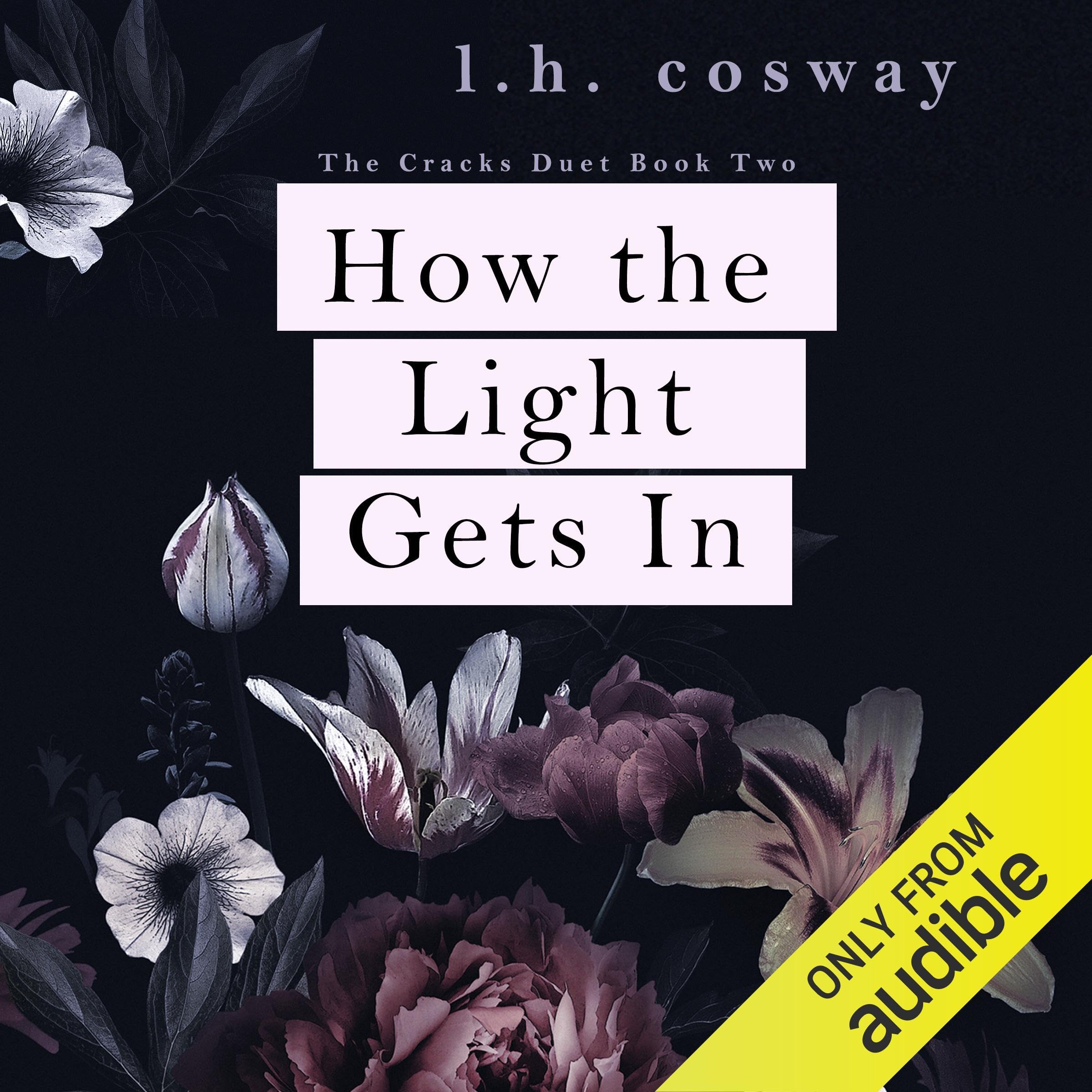 Cover art for How the Light Gets In