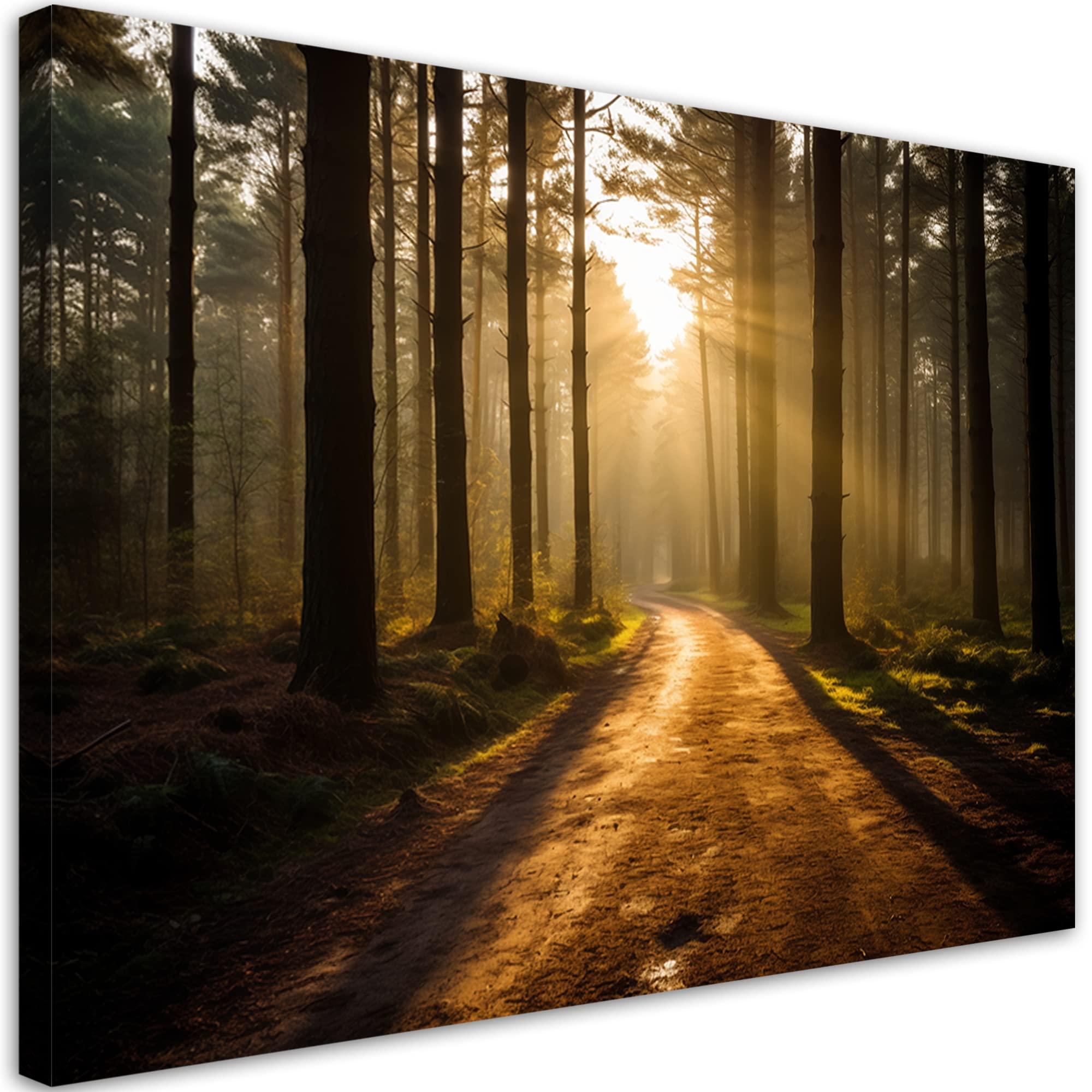 Feeby Leinwandbild Natur Wald Straße 100x70 cm Modern Kunstdruck Wanddeko