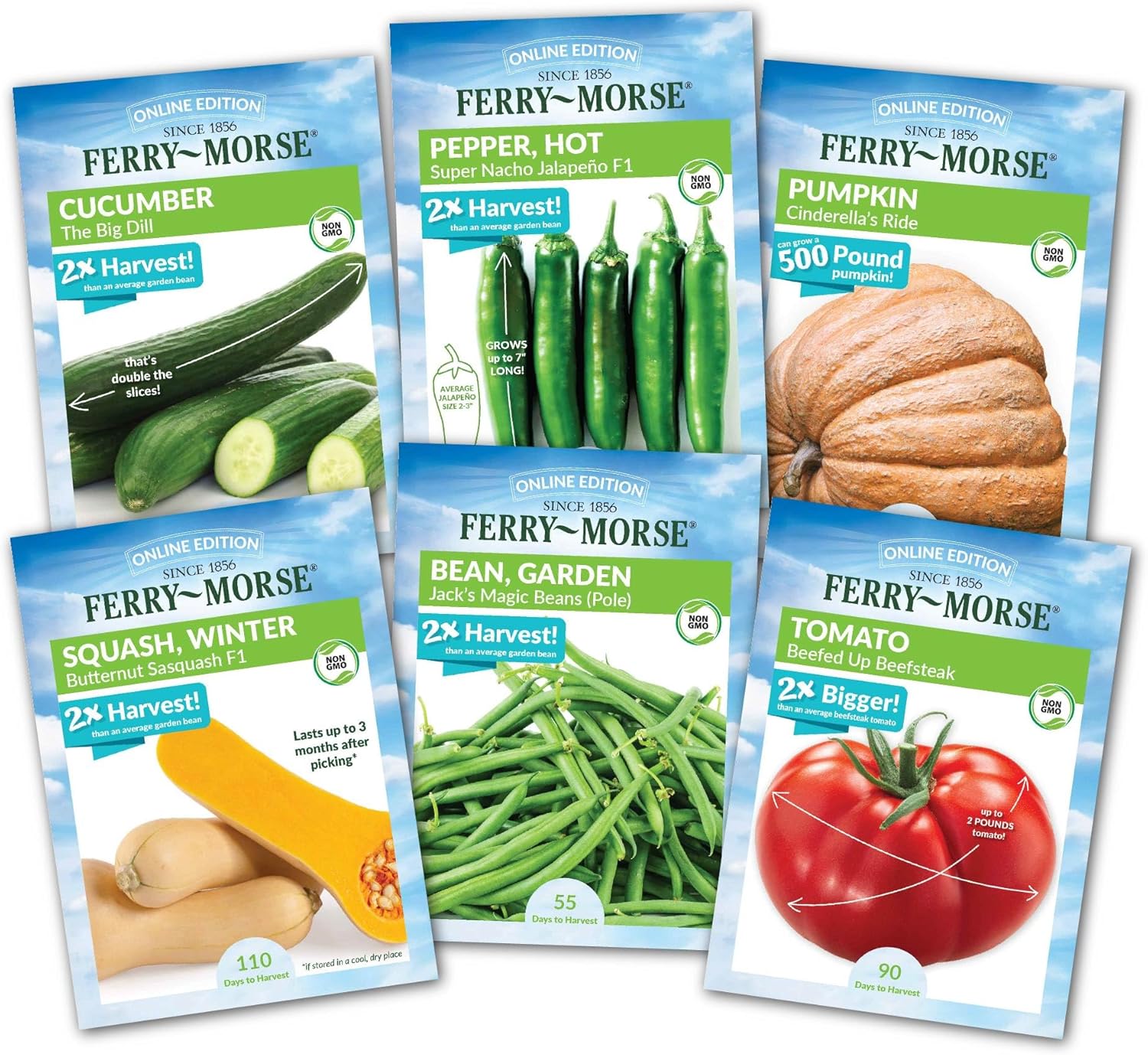 Ferry-Morse Vegetable Seed Bundle - Organic, High Germination Rate, GMO Free - 12 Pack