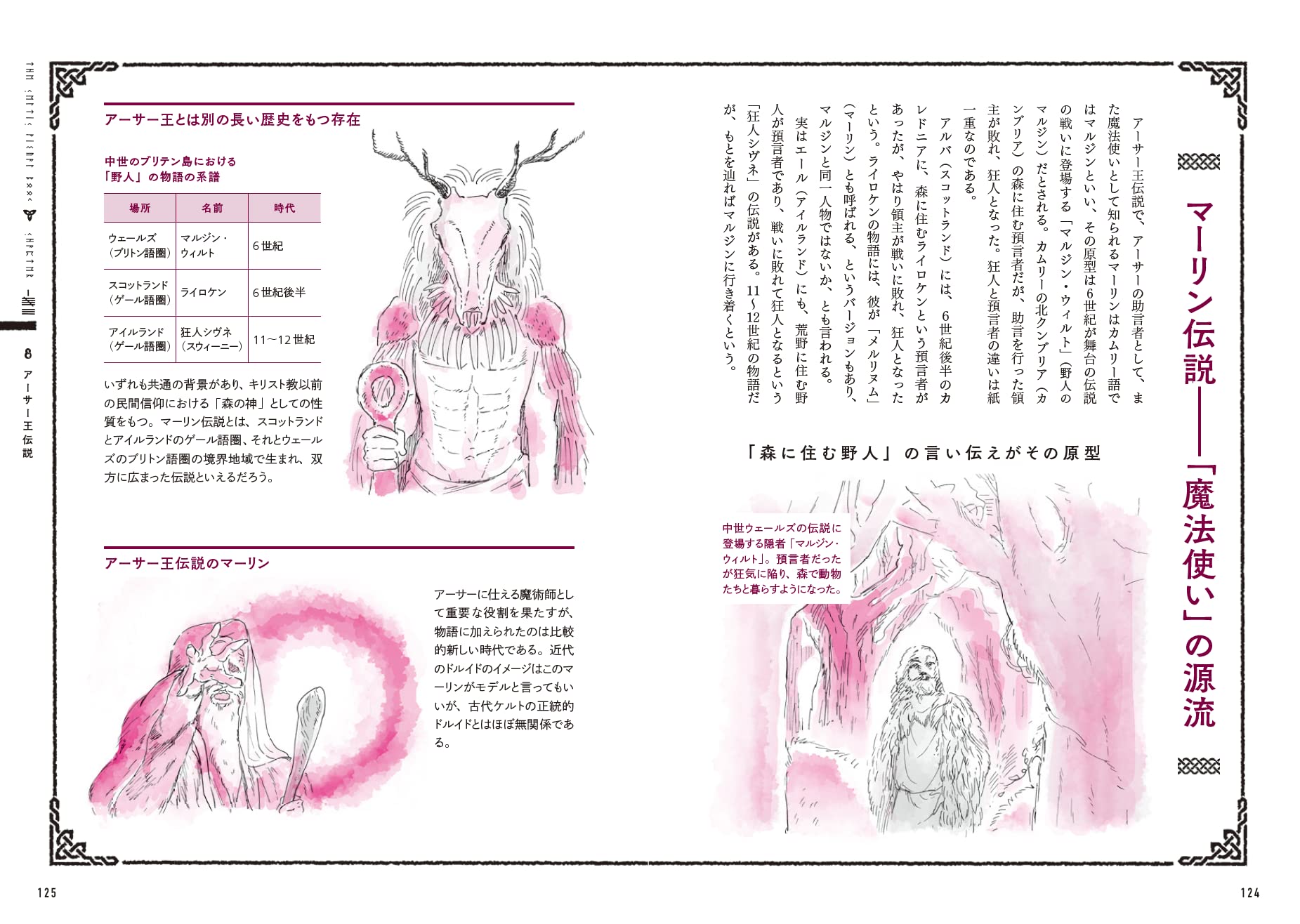 ケルトの解剖図鑑 原聖 本 通販 Amazon