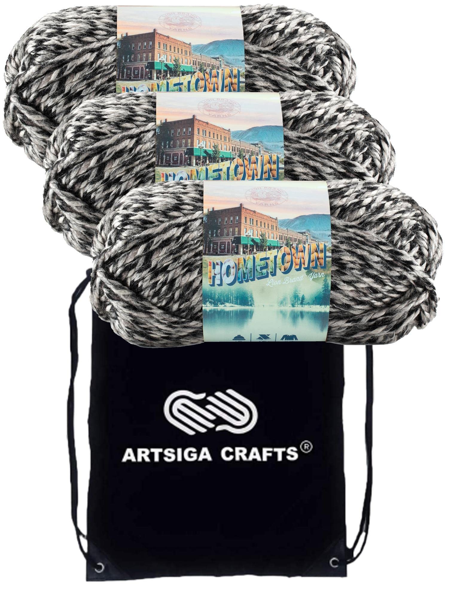 Lion Brand Hometown Anchorage Ice 135-216 (3-Skeins - Same Dye Lot) #6 S Bulky Acrylic Yarn for Crocheting and Knitting with Project Bag
