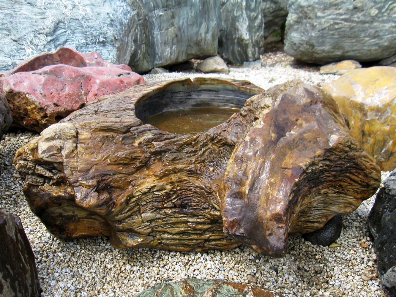珪化木 水鉢 庭石 手水鉢 つくばい 溜まり石 木化石 景石 蹲 たまり石
