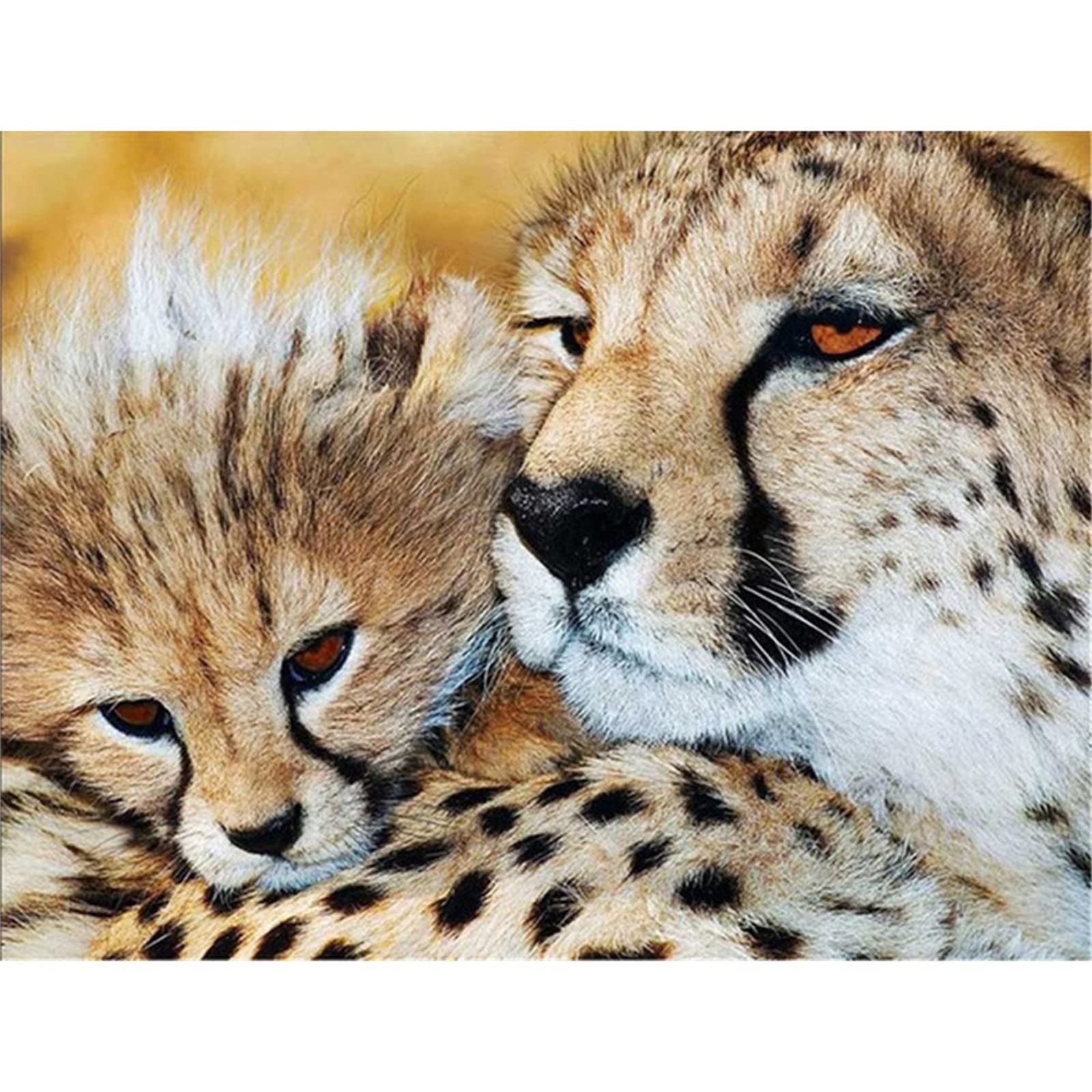 Tinnoon Round Drill 5D Diamond Painting Round Diamond Paint By Numbers For Adults Large Embroidery Mosaic Cross Stitch Full Crystal Rhinestone Kids Diy Diamond Art For Home Wall Decor Leopard,30X40cm/12X16in
