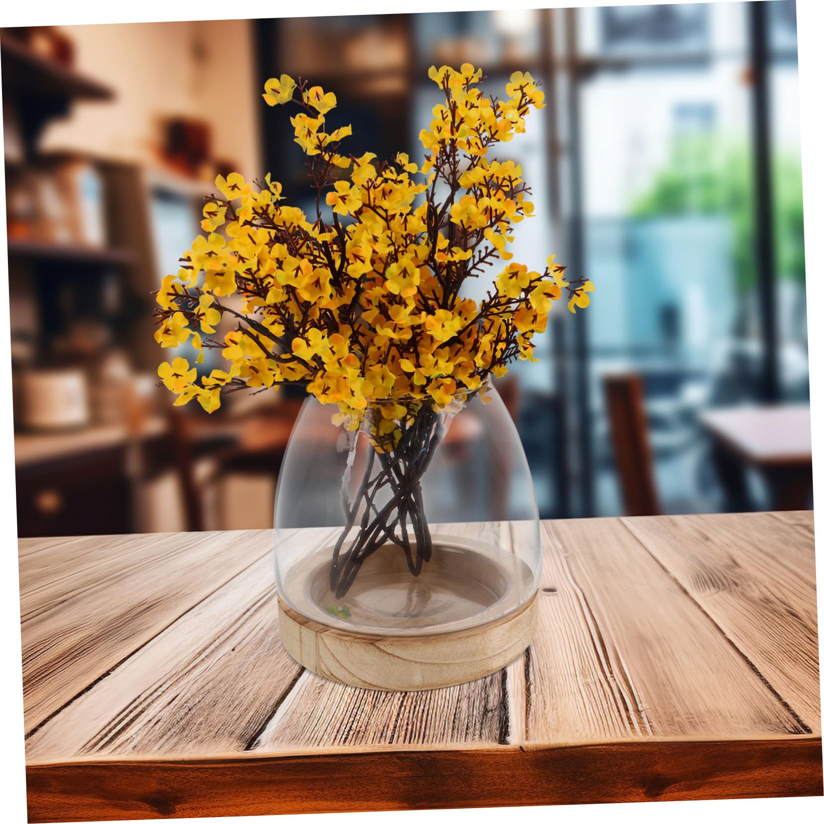 Vase en Verre Hydroponique avec Base en Bois, Terrarium pour Plantes