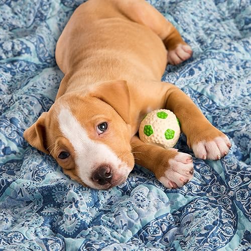 Miniatura 5 de Comfort Spaces Juego de edredón reversible con diseño de costuras de fideos para todas las estaciones, ligero, ropa de cama de colcha a juego,