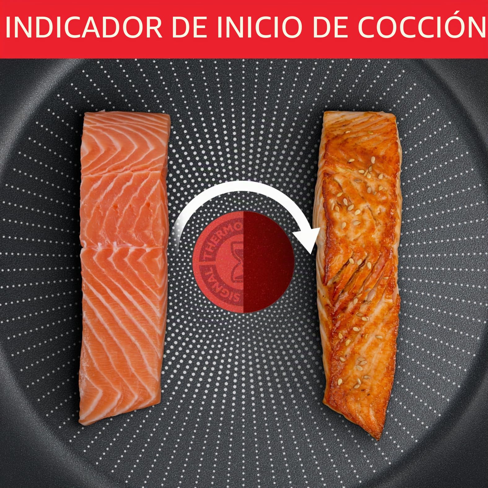 Tefal - Olla de 24 cm, inducción, revestimiento antiadherente, indicador de temperatura, tapa de cristal, mango cómodo, comida deliciosa y saludable, fabricado en Francia, Daily Expert C2894602