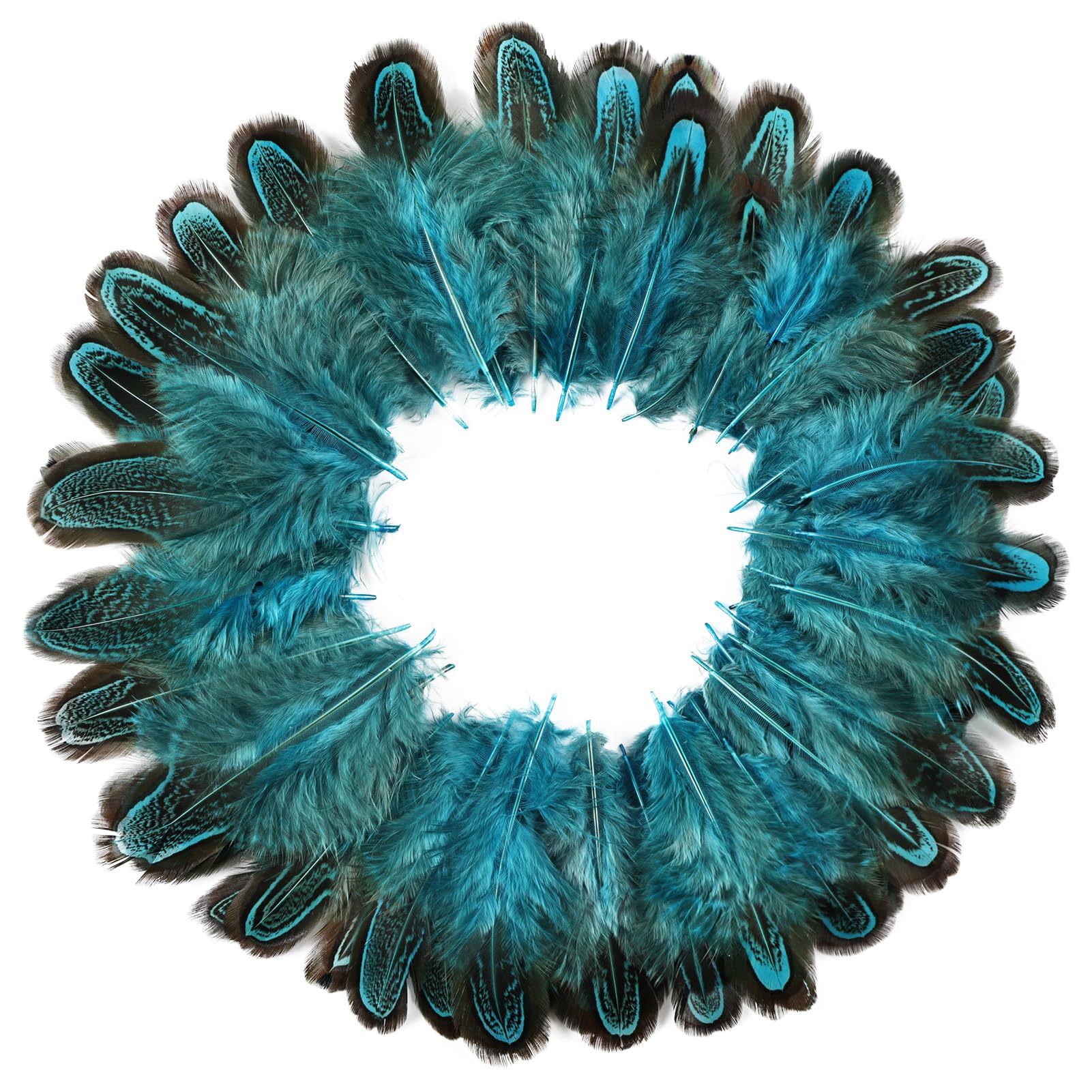 FeelfunFeather 60pcs Aqua Blue Pheasant Plumage Feathers 2-3 Inches Natural Fluffy Spotted Plumage Feathers for Sewing Crafts Clothing Jewelry Hair Hats Wedding Party Decoration 60pcs Aqua Blue-Pheasant Plumage Feathers