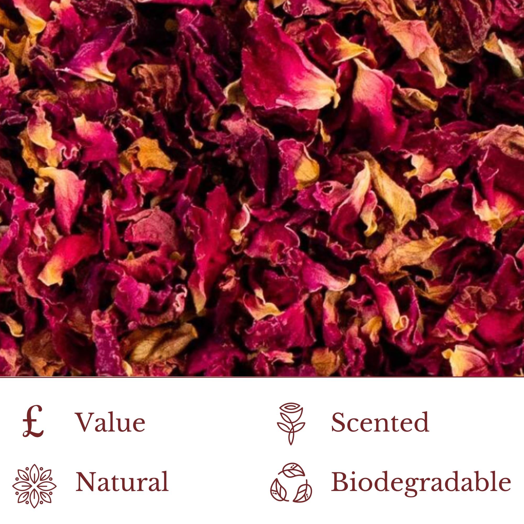 KEEP IT Konfetti Kit 100 Gäste | Natürliches biologisch abbaubares Konfetti Hochzeit | 100 Pergaminbeutel, Aufkleber & Displaybox | Getrocknetes Blumen-Konfetti: Rosenblätter und Lavendel | Eco