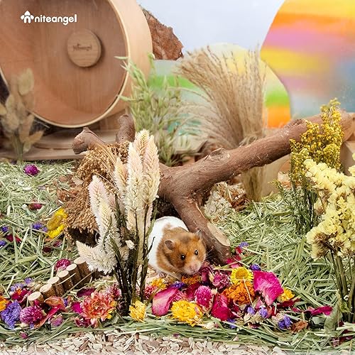 Miniatura 7 de Niteangel Ropa de cama de hámster natural y suave, decoración de hábitat de animales pequeños para hámsteres enanos sirios, jerbos, ratones,