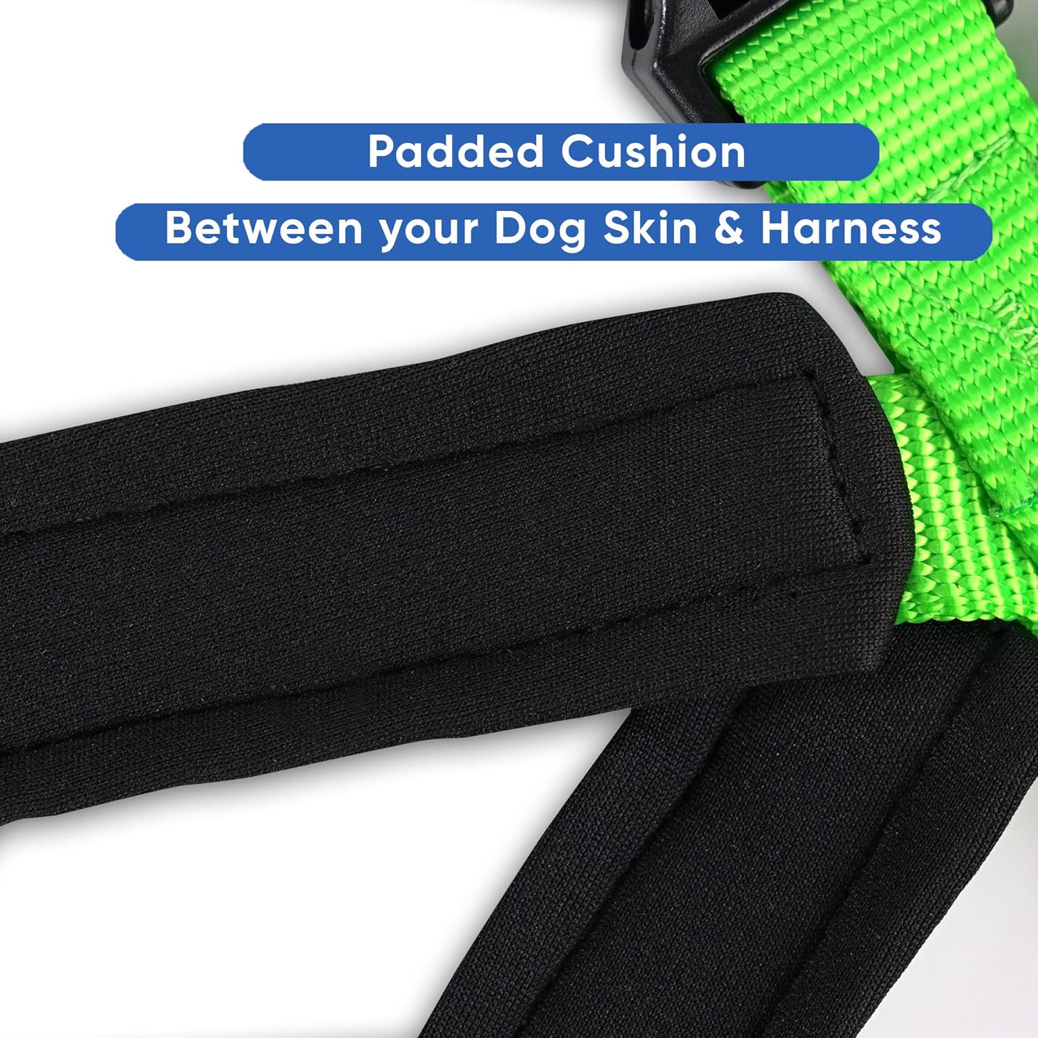 Pawtitas Value Bundle Set | Large Padded Dog Harness + Medium Padded Dog Collar + Large Padded Leash - Green Set