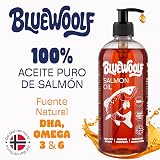 Ver la foto 2