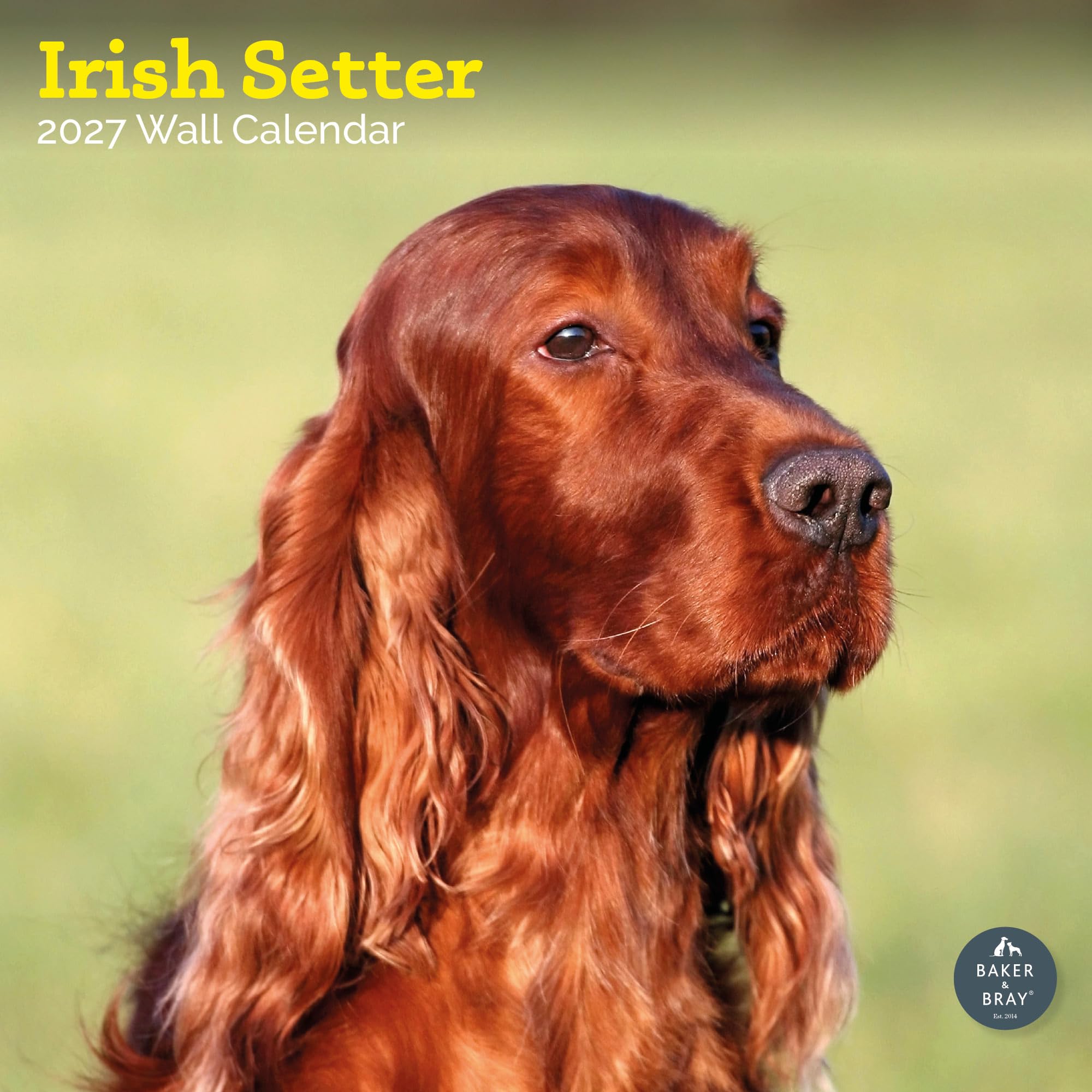 Baker and Bray Irish Setter Calendar 2027, Large