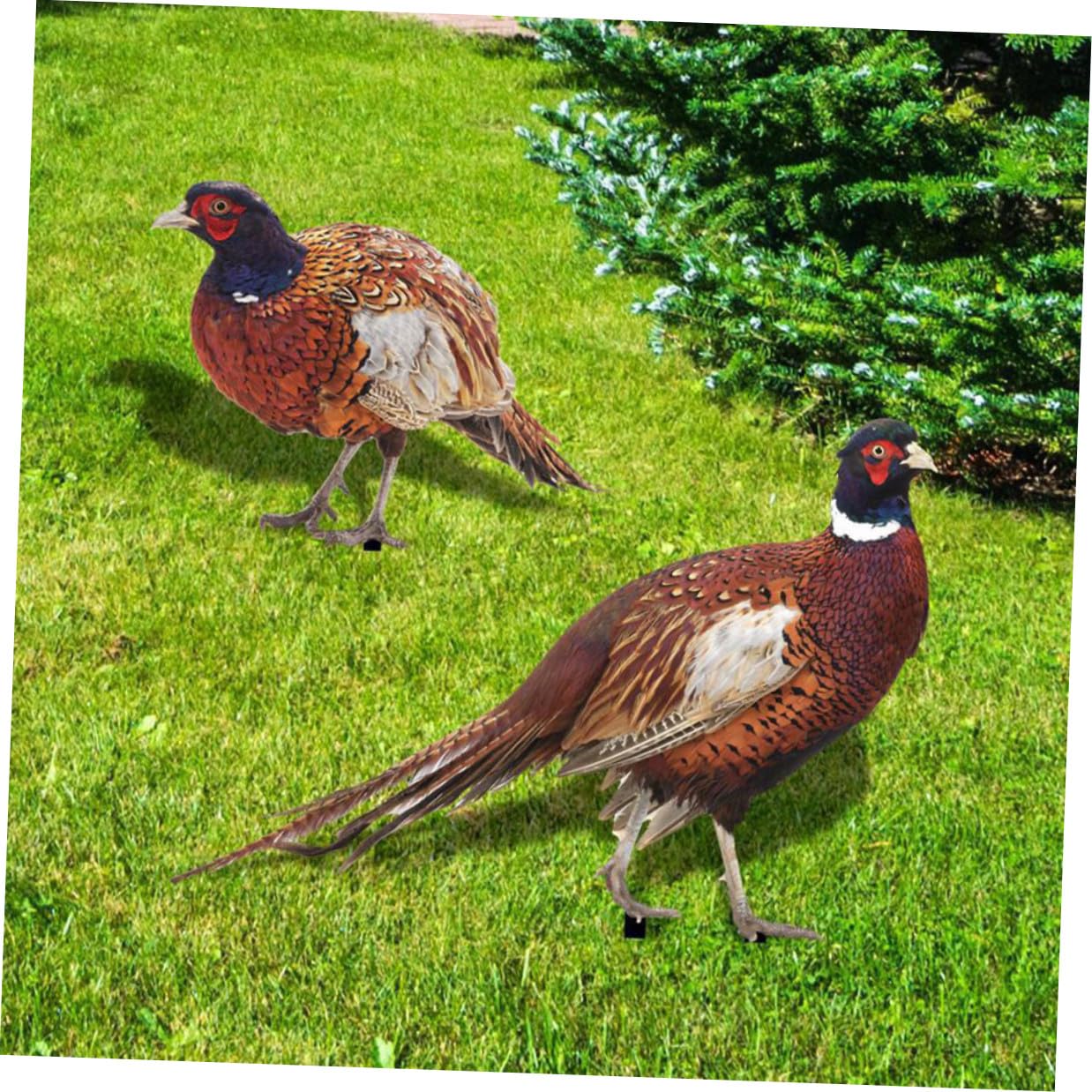 TEHAUX Acryl Gartenschild 2 Satz Doppelseitiger Fasanen Gartenstecker