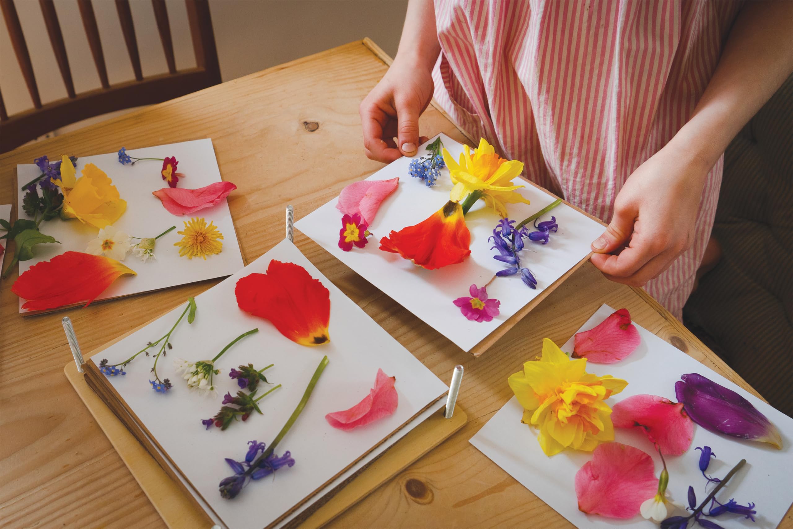 TENDER LEAF TL8423 - MY BOTANICAL PRESS