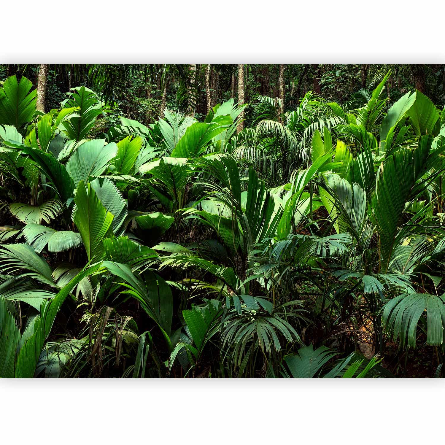 murando Photo Wallpaper Nature 450x315 cm / 177.16" x 124" — image 1