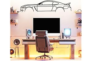 Shelby GT350 Model Silhouette Metal Car Wall Art